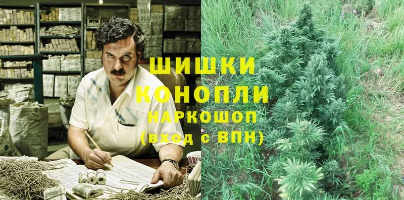 как найти наркотики  сайты даркнета клад  Канабис Ganja  Орлов  mega  